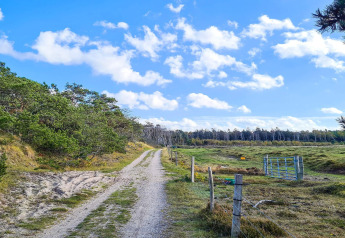 Landweg naast het «6 person holiday home in Melby», Denemarken, met weiden en blauwe lucht.