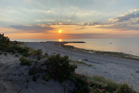 Coucher de soleil sur une plage paisible avec fleurs, près d’une maison de vacances à Melby, Danemark.