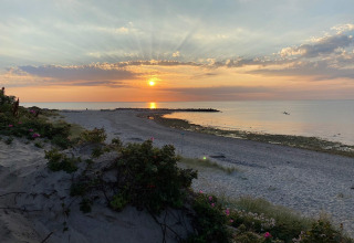 Tramonto su una spiaggia tranquilla con fiori, vicino a una casa vacanze per 6 a Melby, Danimarca.