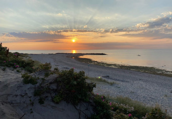 Zonsondergang aan een kalm strand met bloemen bij een 6-persoons vakantiehuis in Melby, Denemarken.