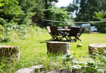 Zicht op een groene tuin met boomstronken en tuinmeubilair bij een 6-persoons vakantiehuis in Melby, Denemarken.