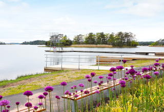 Vista lago con trampolino, pontili e fiori viola presso casa vacanze a Mönsterås, Svezia.