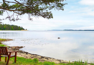 Rustig uitzicht op het meer met een houten bank en bomen aan de oever in Mönsterås, Zweden.