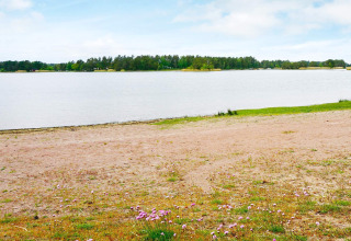 Orilla de lago arenosa con flores silvestres en primer plano y una isla boscosa al fondo en Suecia.