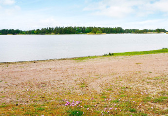 Sandy lakeshore with wildflowers in the foreground and forested island in the background in Sweden.