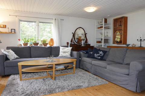 Stue i en feriebolig i Mönsterås, Sverige, med grå sofaer, træbord, planter og vintage dekoration.