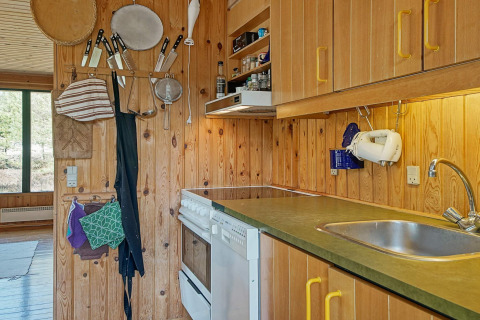Træbeklædt køkken i lodge med ophængte redskaber, gryder, ovn og grøn bordplade i Snogebaek, Danmark.
