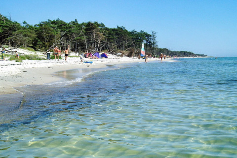 Strandbillede ved Seaside Serenity i Snogebaek, Danmark med klart vand og folk, der nyder solen.