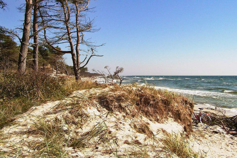 Paysage côtier à Seaside Serenity à Snogebaek, Danemark, avec dunes, arbres et mer calme.