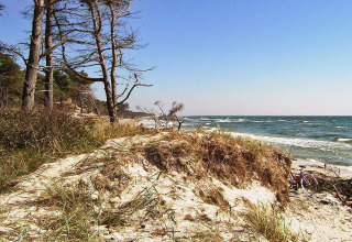 Kystlandskab ved Seaside Serenity i Snogebaek, Danmark, med sanddyner, træer og havudsigt.