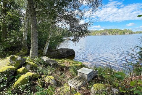 Blick auf einen ruhigen See am Ferienhaus in Rimforsa, Schweden, mit Bänken und Bäumen im Vordergrund.