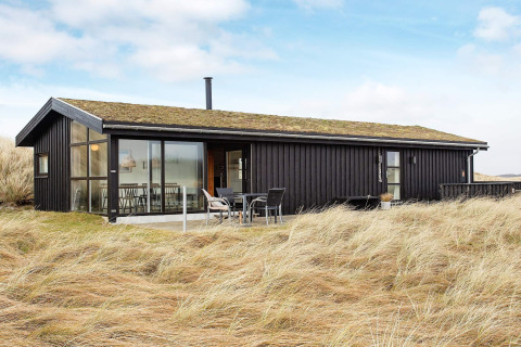Ferienhaus für 6 Personen in Pandrup, Dänemark, mit Grasdach und moderner Außengestaltung in den Dünen.