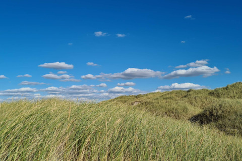 Blauwe lucht en begroeide duinen bij een 6-persoons vakantiewoning in Pandrup, Denemarken, met wolken.