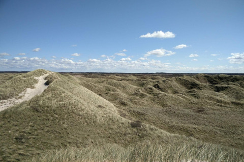 Zicht op grasrijke duinen onder een blauwe lucht nabij het 6-persoons vakantiehuis in Pandrup, Denemarken.