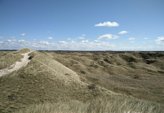 Vue sur des dunes herbeuses sous un ciel bleu près de la maison de vacances pour 6 personnes à Pandrup, Danemark.