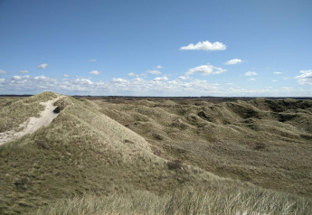 Blick auf eine hügelige Dünenlandschaft unter blauem Himmel beim Ferienhaus für 6 Personen in Pandrup, Dänemark.