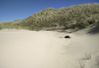 Sandklitter med marehalm og klart blå himmel ved 6-personers feriehus i Pandrup, Danmark.