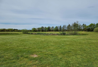 Groene grasvelden en bomen bij 6-persoons vakantiehuis in Pandrup, Denemarken, onder een bewolkte lucht.