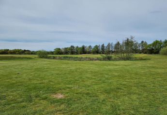 Groene grasvelden en bomen bij 6-persoons vakantiehuis in Pandrup, Denemarken, onder een bewolkte lucht.