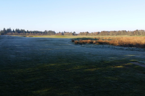 Uitzicht op een groen veld bij zonsopkomst bij het '6-persoons vakantiewoning in Pandrup', Denemarken.