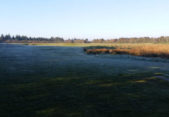 Zicht op een grasveld bij ochtendlicht bij het '6-persoons vakantiehuis in Pandrup', Denemarken.