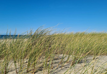 Strand mit Dünengras und Meer am Ferienhaus '6 Personen Ferienhaus in Pandrup', Dänemark bei klarem Himmel.
