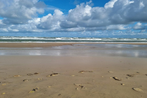 Spiaggia sabbiosa con onde e cielo nuvoloso vicino a Pandrup, Danimarca, vista da una casa vacanze.