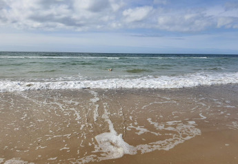 Vagues sur la plage près d'une maison de vacances pour 6 personnes à Pandrup, Danemark, avec un chien dans l'eau.