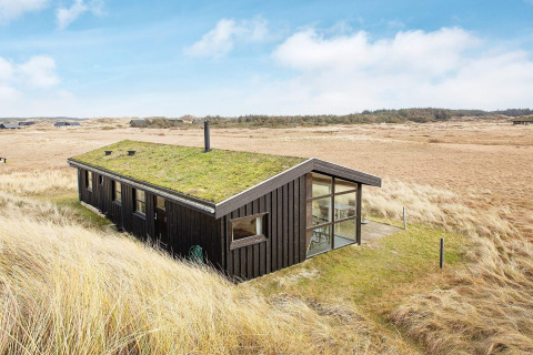 Zwart vakantiehuis met grasdak voor 6 personen in Pandrup, Denemarken, gelegen tussen de duinen.