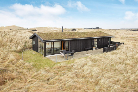 Casa vacanze per 6 persone a Pandrup, con tetto verde e terrazza, immersa tra dune erbose e cielo azzurro.