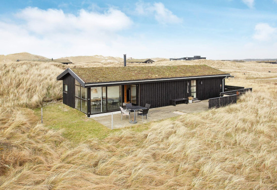 Ferienhaus für 6 Personen in Pandrup mit begrüntem Dach und großer Terrasse, umgeben von Dünenlandschaft.