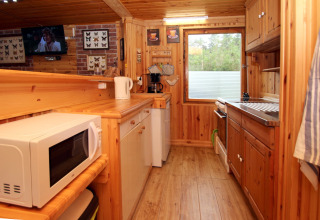 Cucina rivestita in legno presso Holiday home Susanne 58 qm, Germania, con microonde, finestra e TV.