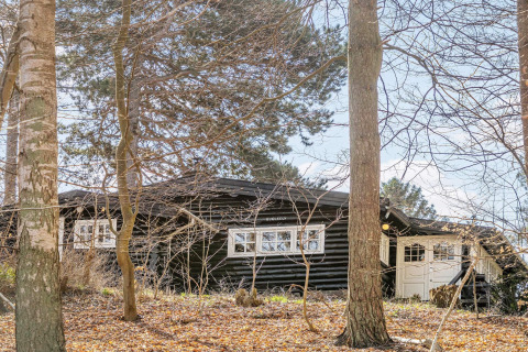 Houten vakantiewoning in Frederiksværk, Denemarken, omringd door bomen op een zonnige dag in het bos.