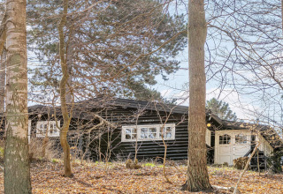 Casa vacanze in legno a Frederiksværk, Danimarca, immersa tra alberi e natura in una giornata serena.