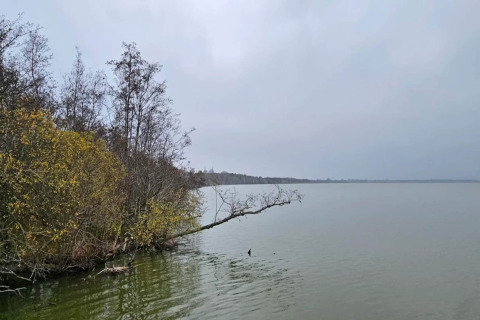 Vista sul lago calmo e alberi sulla riva presso una casa vacanze per 4 persone a Frederiksværk, Danimarca.