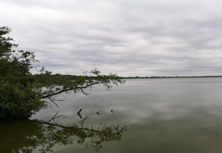 Vista tranquila al lago con cielo nublado y árboles junto al agua, tomada en casa de vacaciones en Frederiksværk.
