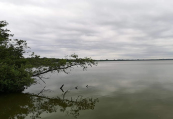 Vista tranquilla sul lago con cielo nuvoloso e albero vicino all’acqua, al lodge a Frederiksværk, Danimarca.