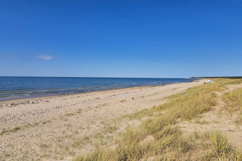 Rustig zandstrand met grasduinen en een heldere blauwe lucht bij Frederiksværk, Denemarken, in de zomer.