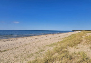 Spiaggia sabbiosa tranquilla con dune erbose e cielo azzurro a Frederiksværk, Danimarca, in estate.