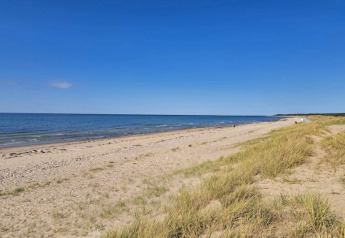 Peaceful sandy beach with grassy dunes and a clear blue sky near Frederiksværk, Denmark, in summer.