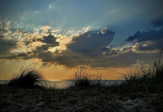 Tramonto sulla spiaggia di Frederiksværk, Danimarca, con erba alta e nuvole scenografiche sul mare.