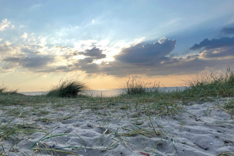 Zonsondergang over zandstrand en grasduinen bij vakantiehuis in Frederiksværk, Denemarken.