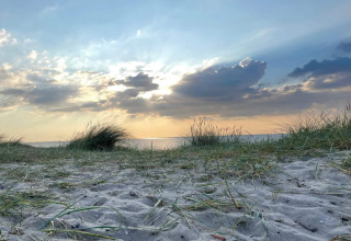 Solnedgang over sandstrand med klitter og marehalm ved Frederiksværk, Danmark, set fra en feriebolig.