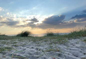 Coucher de soleil sur plage de sable et dunes herbeuses près d’un gîte à Frederiksværk, Danemark.