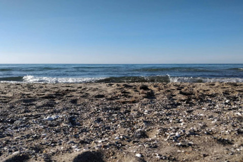Playa de arena con conchas marinas y olas suaves en Frederiksværk, Dinamarca, bajo un cielo despejado.