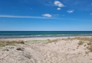 Blick auf Strand und Meer bei Frederiksværk mit Dünen und blauem Himmel von einer Ferienhütte in Dänemark.