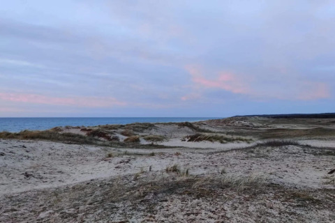 Sanddünen mit Gras und Blick auf das Meer bei Sonnenuntergang in der Nähe von Frederiksværk, Dänemark.