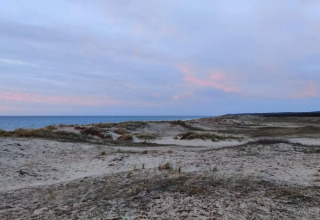 Zandduinen met verspreid gras en uitzicht op zee bij zonsondergang nabij Frederiksværk, Denemarken.