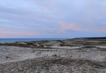 Strandklitter med spredt græs og udsigt over havet ved solnedgang nær Frederiksværk, Danmark.
