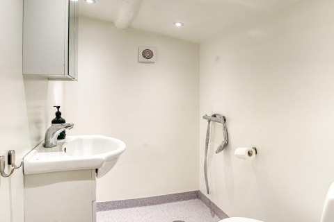 Bagno con lavandino, specchio, doccetta e carta igienica in una casa vacanza a Frederiksværk, Danimarca.